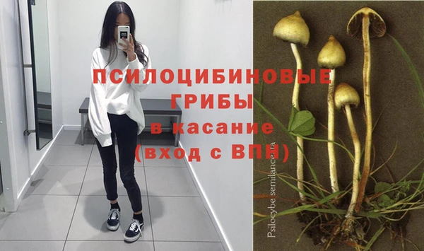 а пвп мука Медногорск